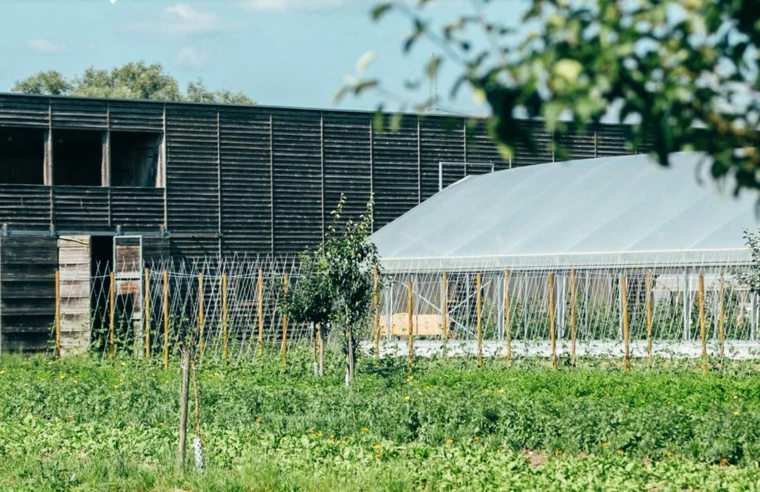 Gewächshaus Vetterhof Gewächshaus Vetterhof